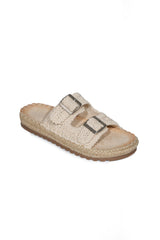 The Roman 01-5254