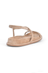 The Amanda 01-6000