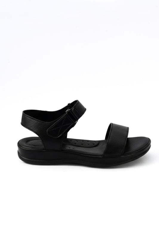 The shauna 01-6091