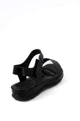 The shauna 01-6091