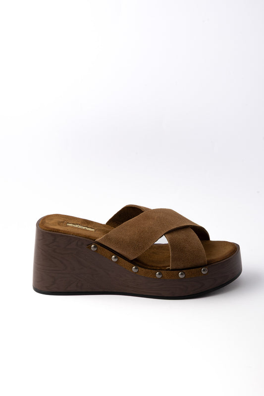 The Avi 01-6097