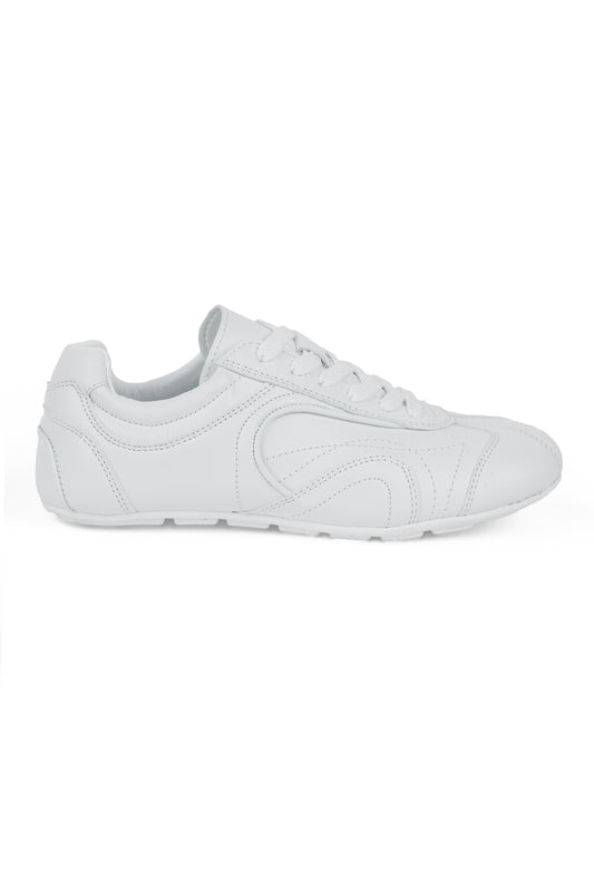 The Blanc 01-6221